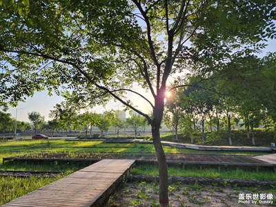 【鏡頭里的夏天】+公園晨拍