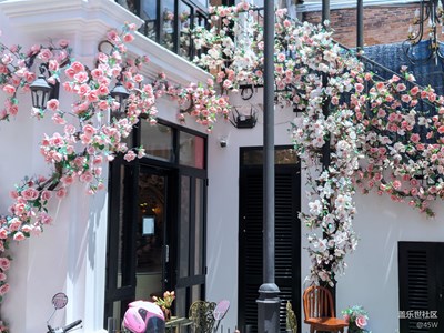 【鏡頭里的夏天】花墻