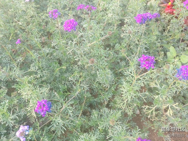 【擁抱自然】鳥語花香