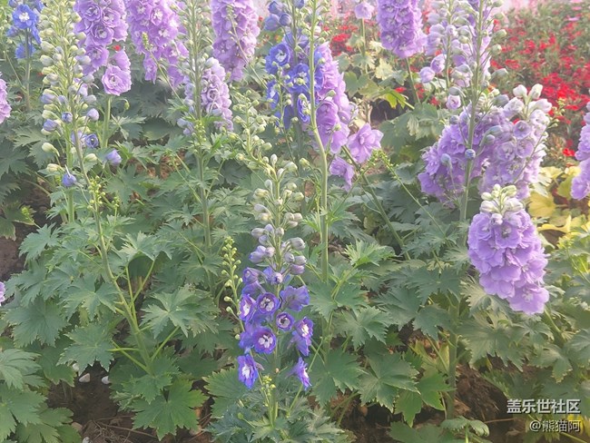 【擁抱自然】鳥語花香