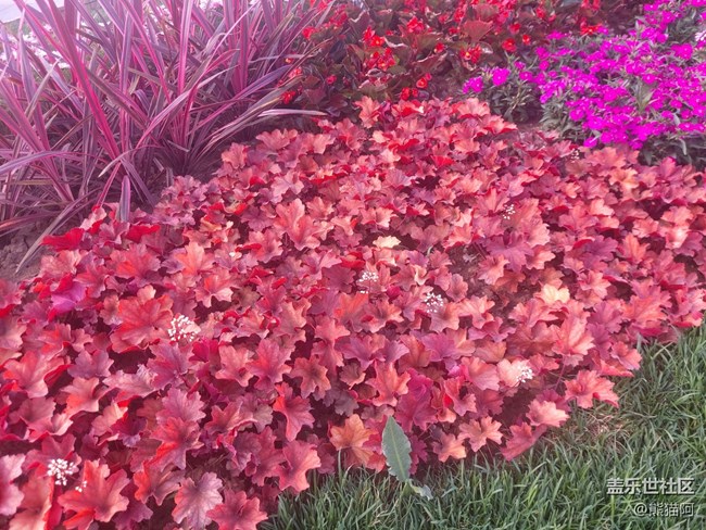 【擁抱自然】鳥語花香