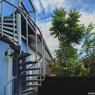 【鏡頭里的夏天】一看就很夏天