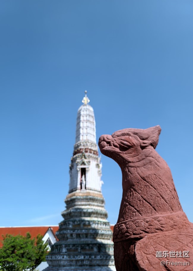 【我從龍江走過】視覺盛宴