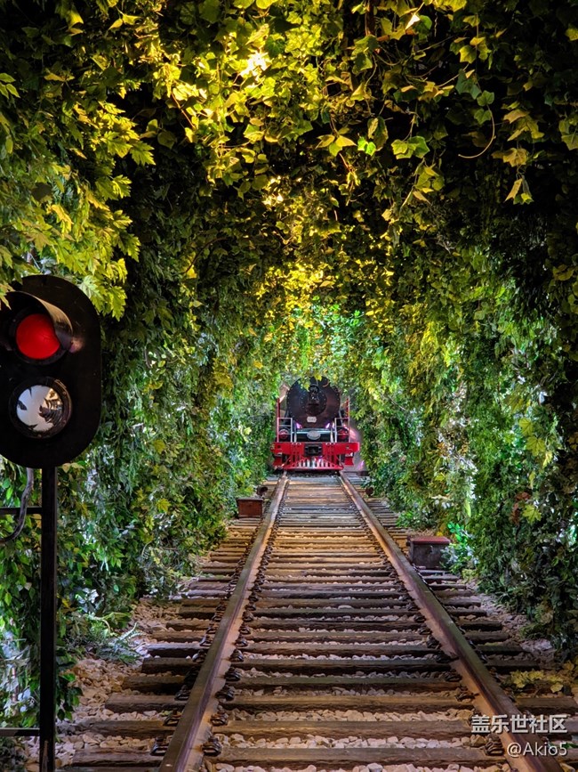 【夏日武漢】光谷