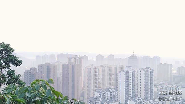 【夏天去撒野】夏の的霧都