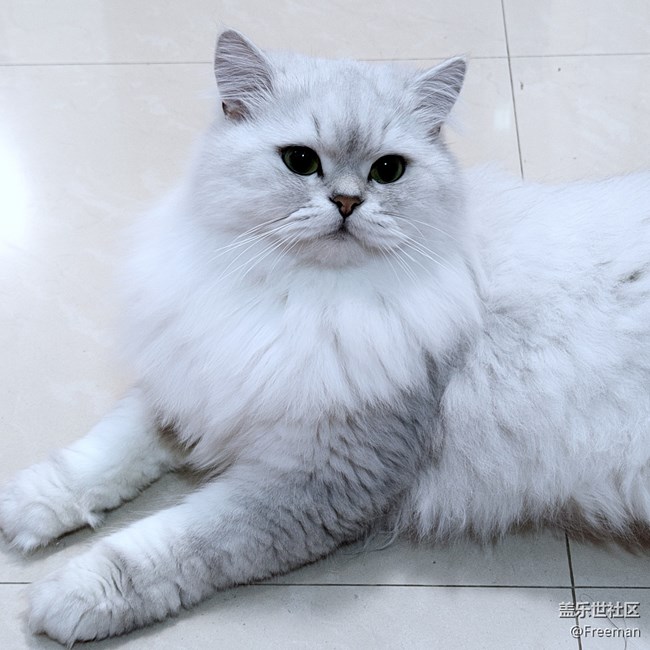 【我的毛孩子】貪吃但可愛