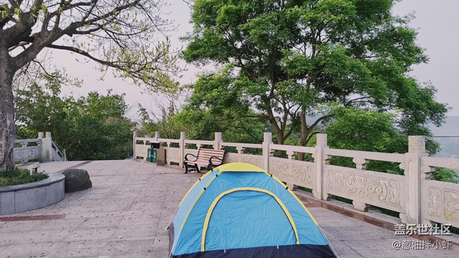 【夏天去撒野】夏の的霧都
