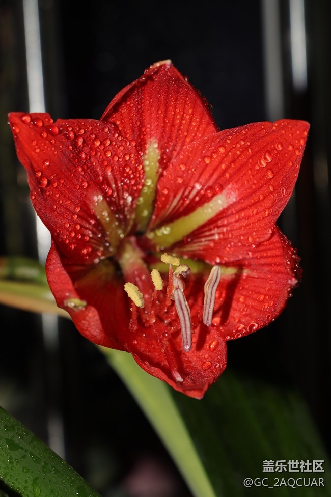 拍照效果有這質(zhì)感沒有