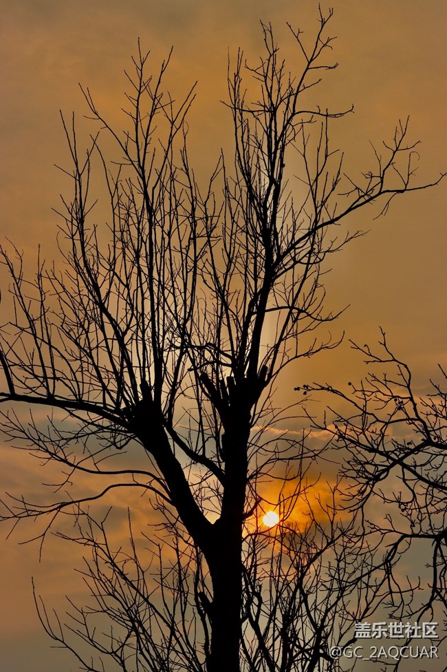 拍照效果有這質(zhì)感沒有