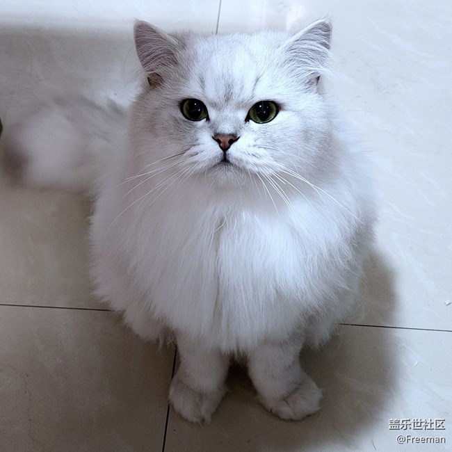 【我的毛孩子】貪吃但可愛