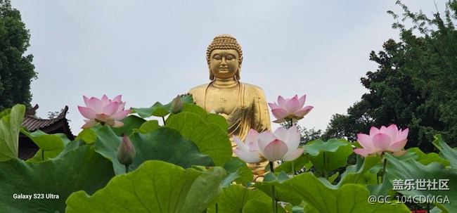 【夏天去撒野】遇見花與禪