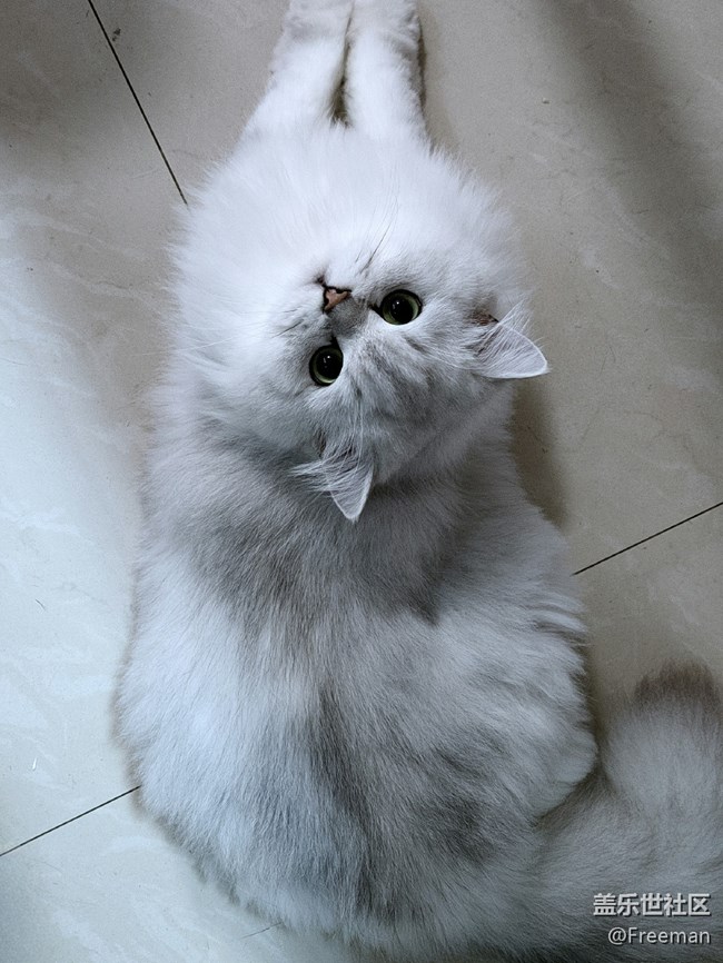 【我的毛孩子】貪吃但可愛