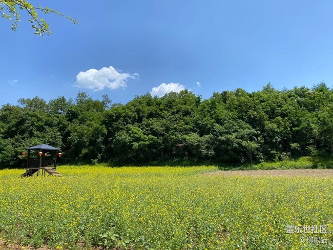 【珍貴的一天】周末兩天