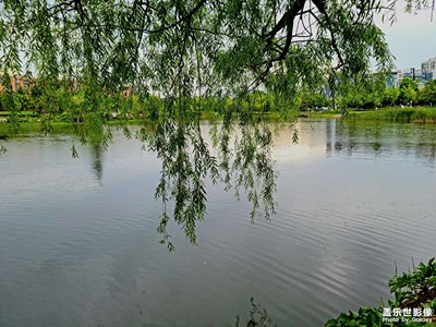 【泛著光的生活】+這里風景獨好