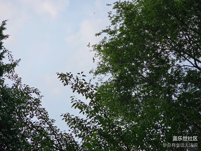 【珍貴的一天】拍拍花花草草樹(shù)樹(shù)