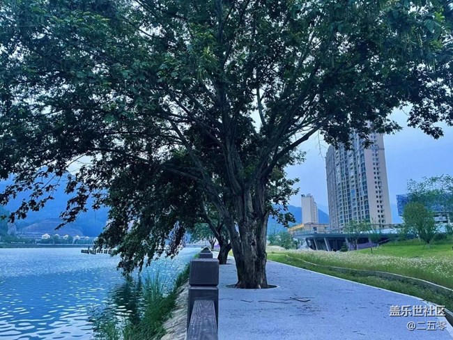 #歡樂(lè)時(shí)光——邂逅紫色