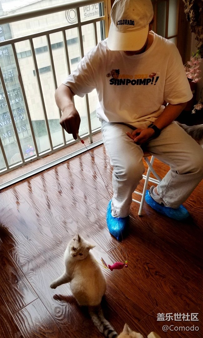 【S23 QQ飛車體驗(yàn)主題活動(dòng)】