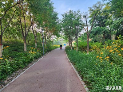 【留住精彩】+晨練風(fēng)景