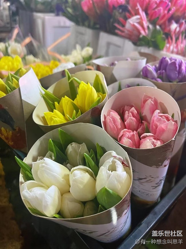 【珍貴的一天】     花花們