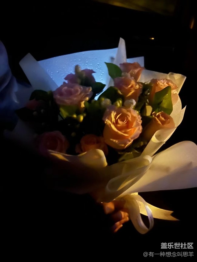 【珍貴的一天】     花花們