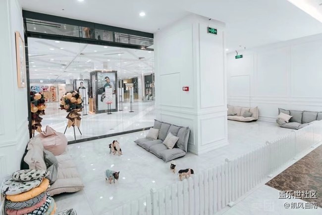 沈陽星部落寵物攝影&端午觀影活動(dòng)招募中