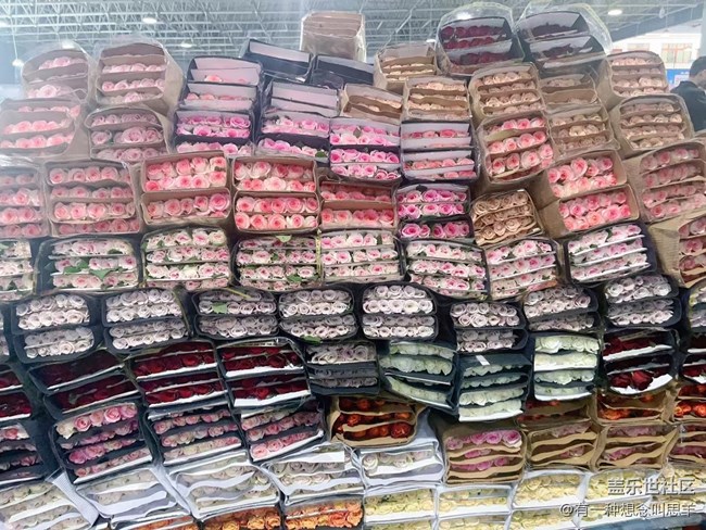 【珍貴的一天】     花花們