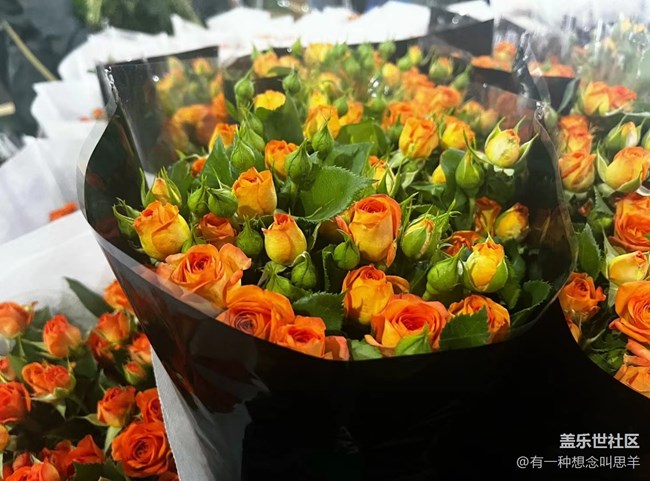 【珍貴的一天】     花花們