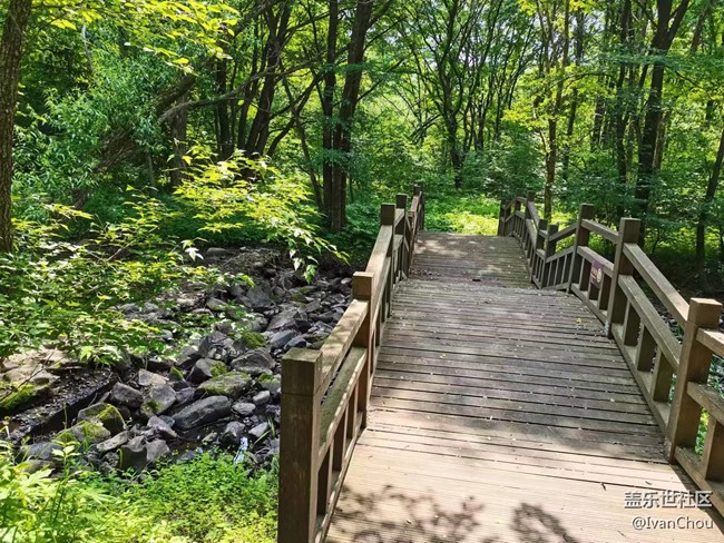 【金龍山徒步】+體驗愉快周末