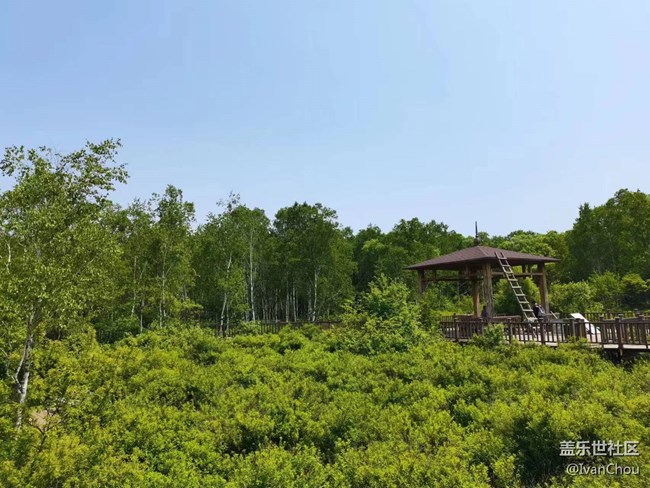 【金龍山徒步】+體驗愉快周末