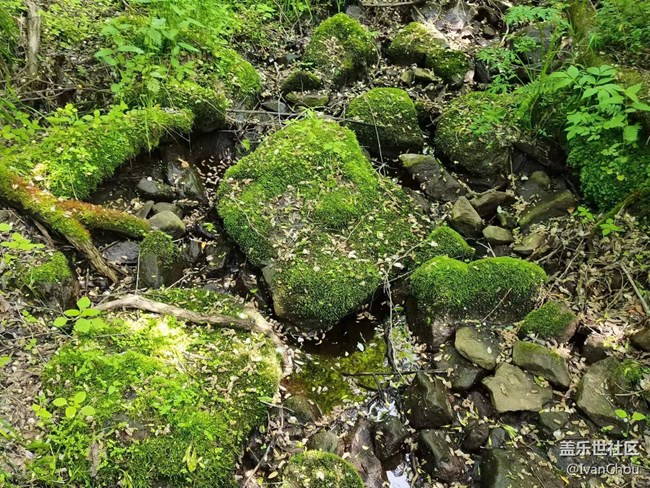 【金龍山徒步】+體驗愉快周末