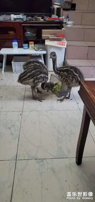 每日一圖