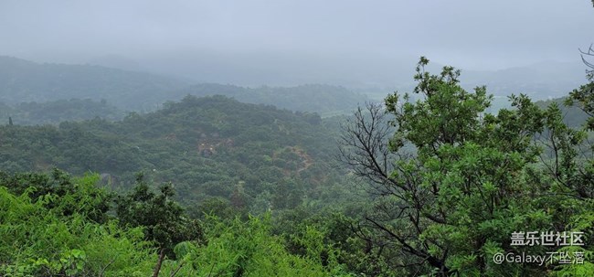【618楊梅采摘樂】第一次上山摘水果