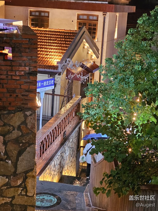 【S23 定格我的夜】曇華林