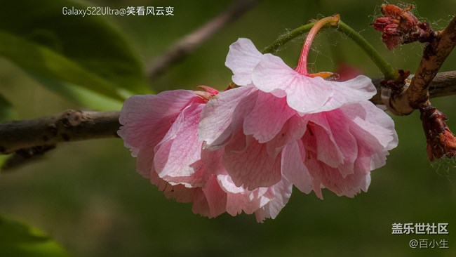 《精品大咖秀》 第二期: 鏡頭里的夏天 粽子顠香 《精品大咖秀》 第二期: 鏡頭里的夏天 粽子顠香