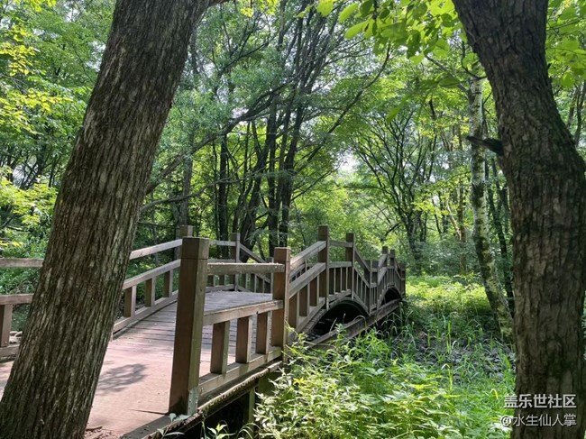 【金龍山徒步】——與樹(shù)握手，與草私語(yǔ)