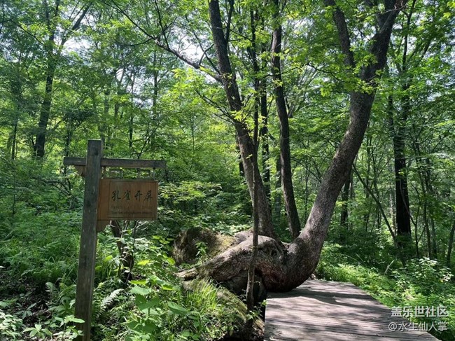 【金龍山徒步】——與樹(shù)握手，與草私語(yǔ)