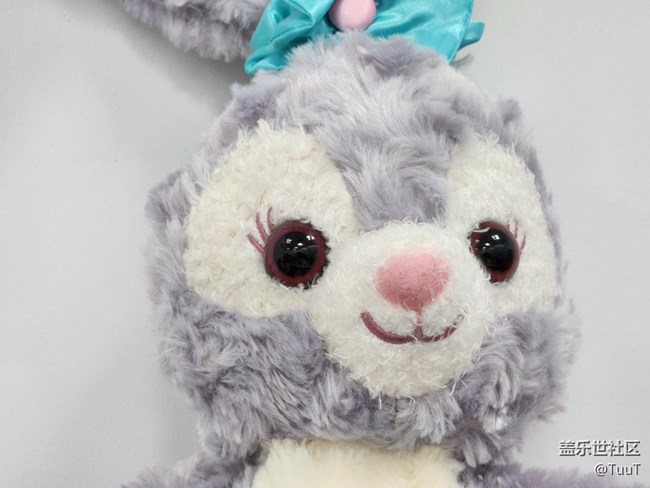 【我的毛孩子】+星黛露