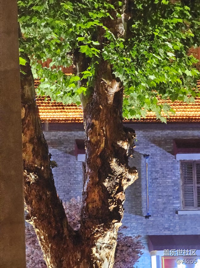 【S23 定格我的夜】雨夜