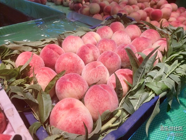 【夏日果實(shí)】應(yīng)季水果