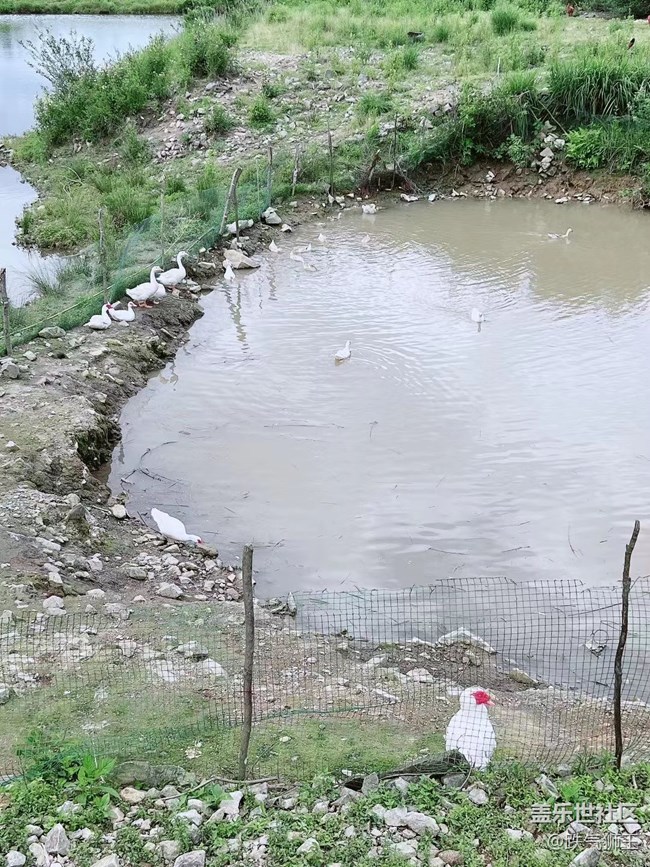 【我的毛孩子】養(yǎng)殖場