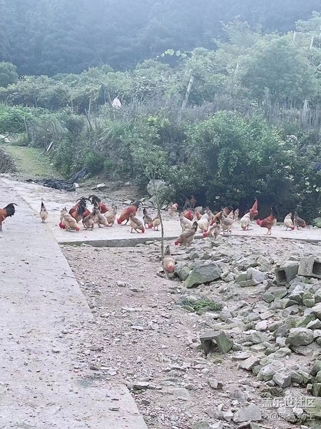 【我的毛孩子】養(yǎng)殖場