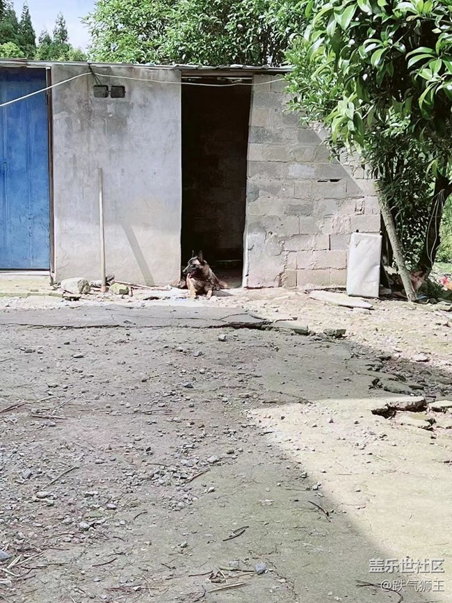 【我的毛孩子】養(yǎng)殖場