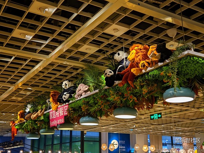 【夏日武漢】夏