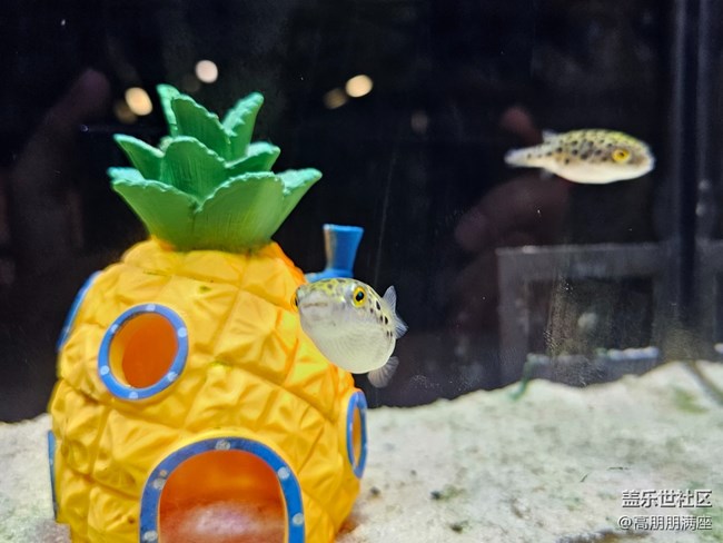 【用鏡頭將五彩繽紛定格】6.18活動(dòng)記錄 【用鏡頭將五彩繽紛定格】6.18活動(dòng)記錄