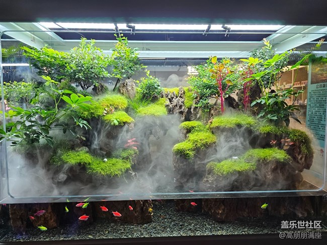 【用鏡頭將五彩繽紛定格】6.18活動(dòng)記錄 【用鏡頭將五彩繽紛定格】6.18活動(dòng)記錄