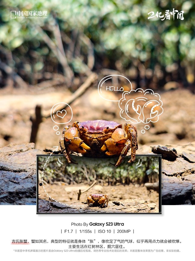 來自海邊的生物朋友