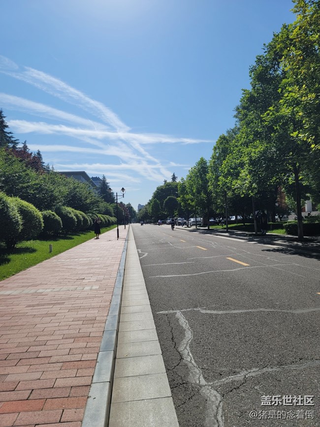 【夏日色彩】夏日藍，離別傷