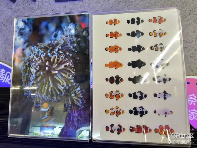 【用鏡頭將五彩繽紛定格】6.18活動(dòng)記錄 【用鏡頭將五彩繽紛定格】6.18活動(dòng)記錄