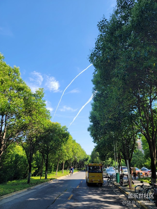 【夏日色彩】夏日藍，離別傷