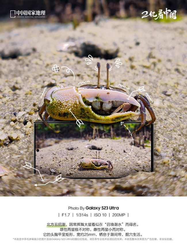 來自海邊的生物朋友